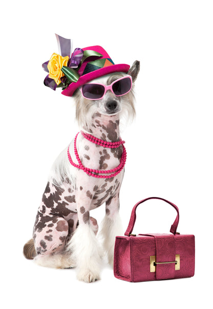 Pawsh™ Fragrances for Dogs and Cats Fresh Scent