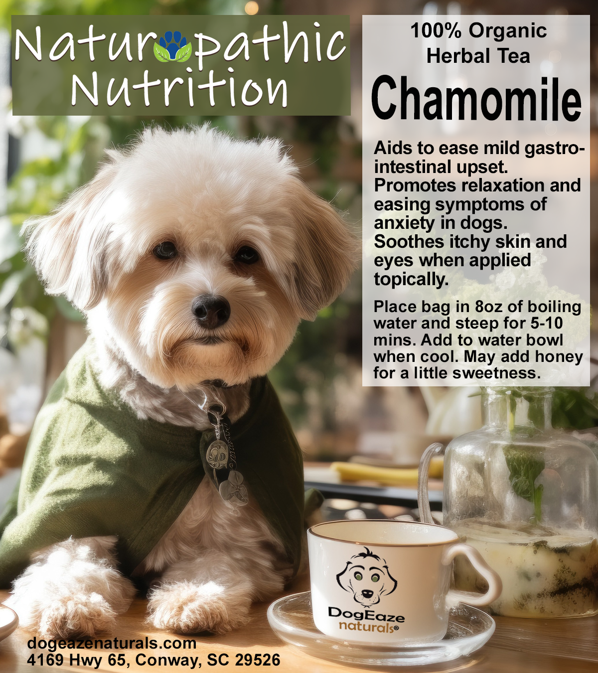 Chamomile - Gastrointestinal Upset/Anxiety