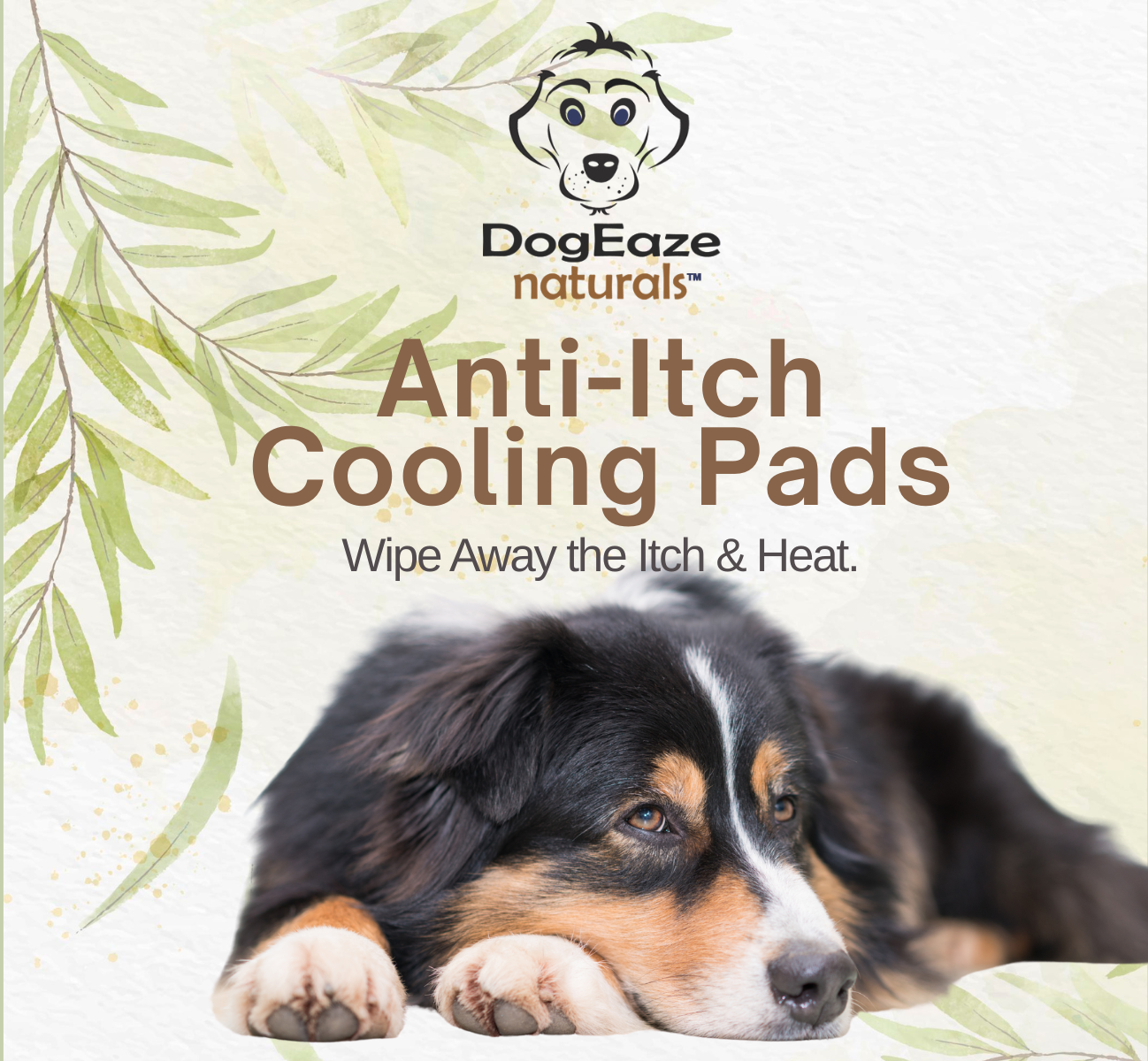 Anti-Itch Spray Oil